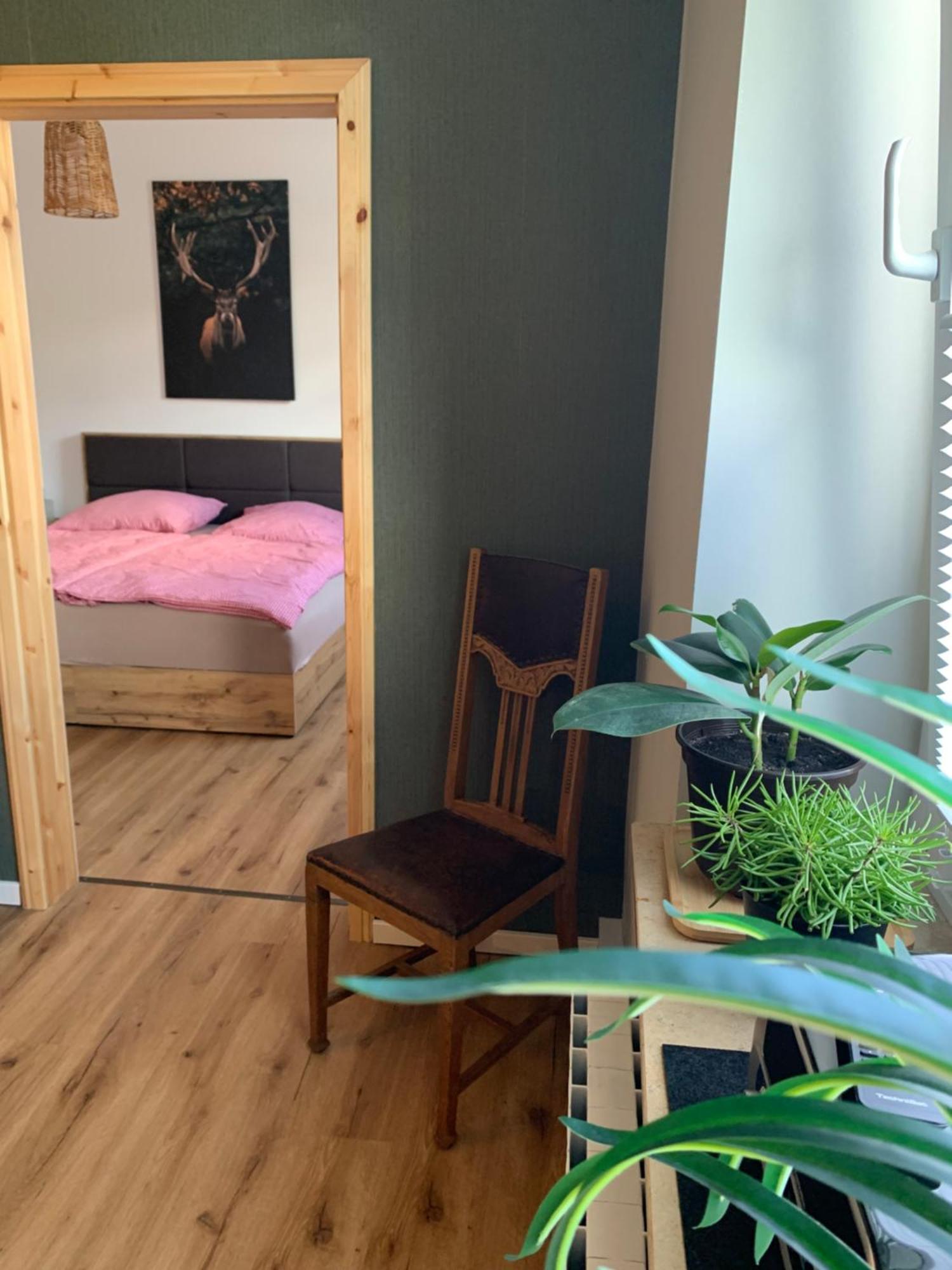 오스나브루크 Katharina Boardinghouse 아파트 외부 사진